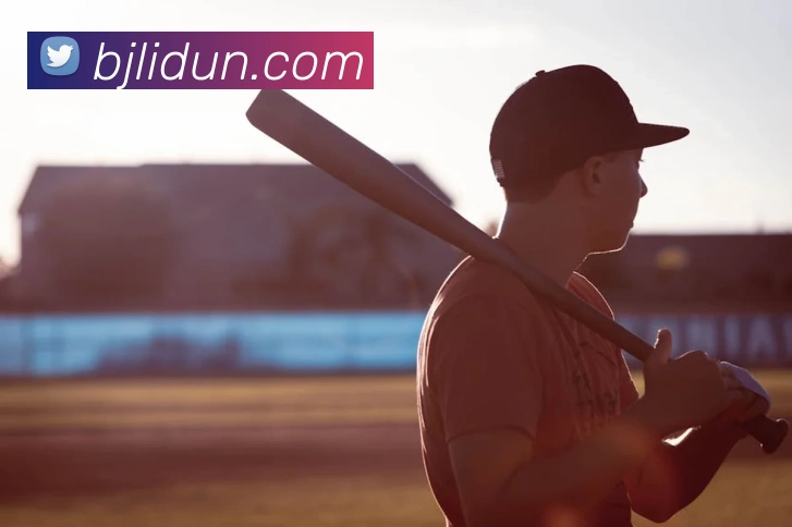 百家乐网站平台生态图